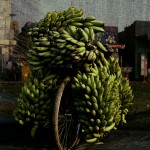 Beladenes Fahrrad mit Bananen